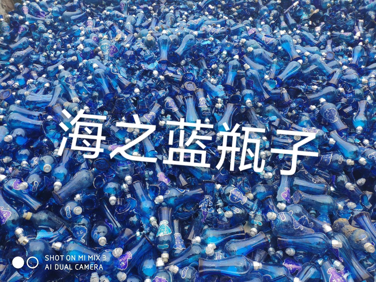 启东海之蓝瓶回收
